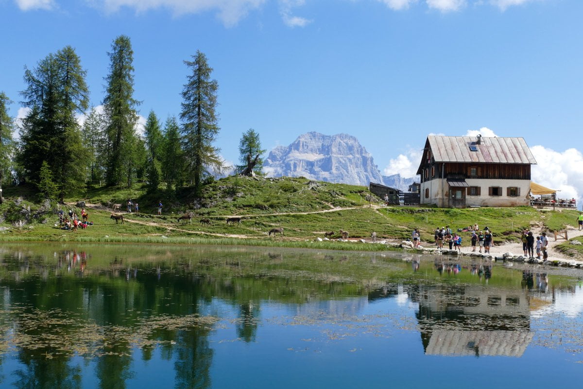 Rifugio Croda Da Lago Da Passo Giau