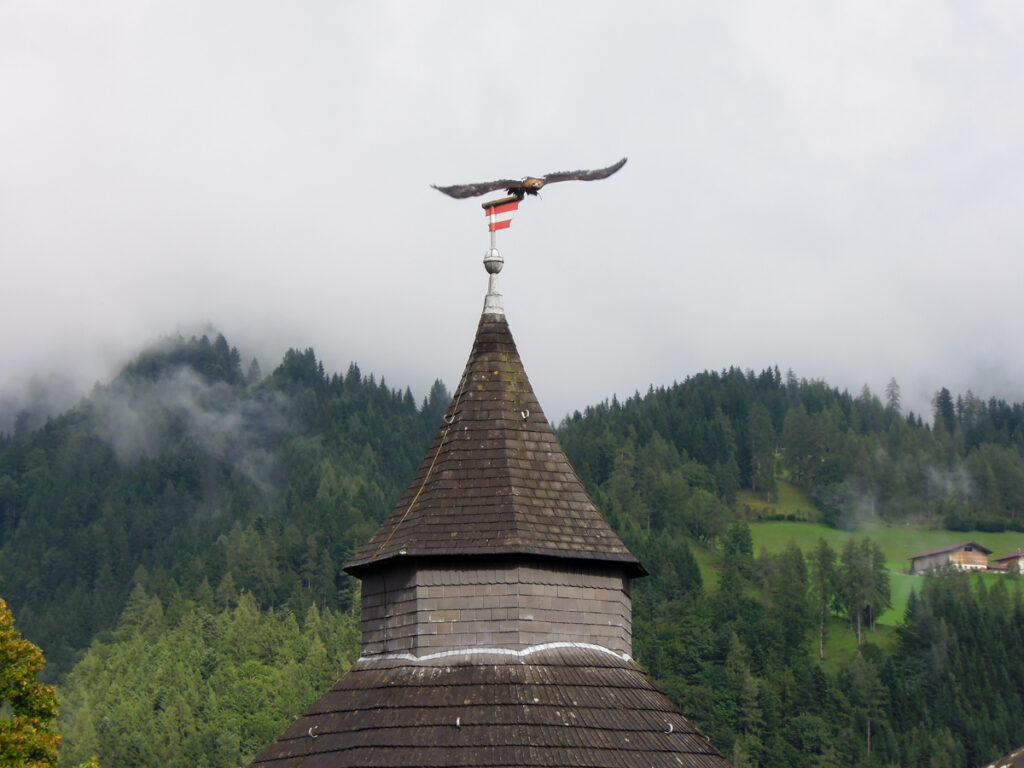 Spettacolo di falconeria alla Fortezza di Hohenwerfen 