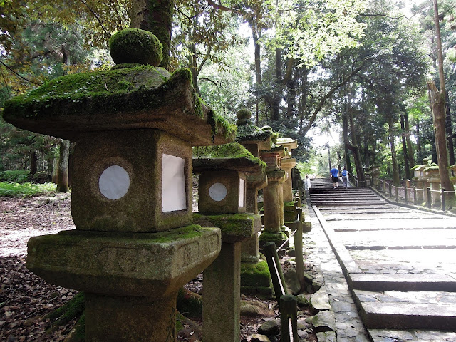 Escursioni in giornata da Kyoto: Nara e Uji