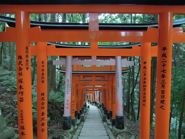 I mille torii rossi del Fushimi Inari