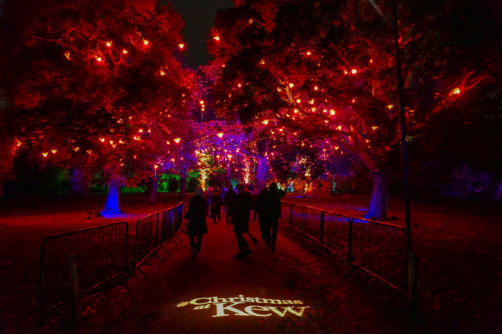 Guida ai Kew Gardens, i giardini botanici di Londra My Scratch Map - Travel Blog Alberi illuminati per Christmas at Kew