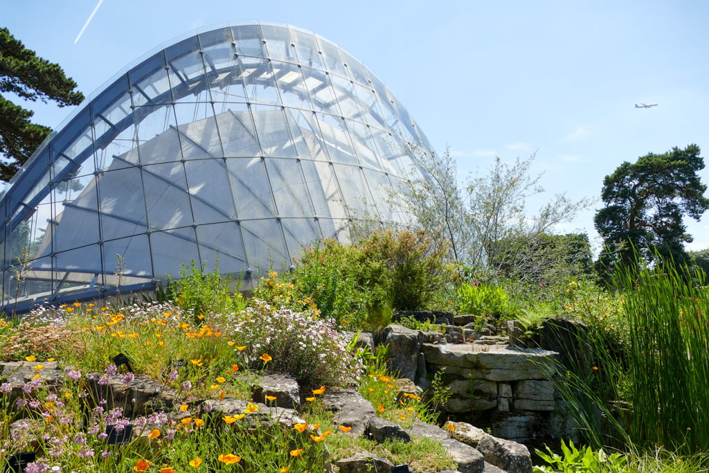 Guida ai Kew Gardens, i giardini botanici di Londra My Scratch Map - Travel Blog La forma a vela della Davies Alpine House
