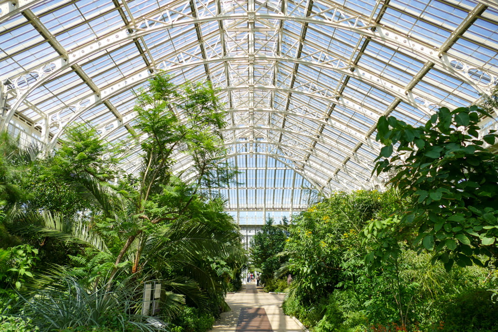 Guida ai Kew Gardens, i giardini botanici di Londra My Scratch Map - Travel Blog Piante nella serra della Temperate House