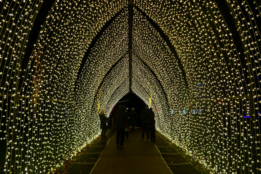Guida ai Kew Gardens, i giardini botanici di Londra My Scratch Map - Travel Blog Tunnel di luci per il Christmas at Kew
