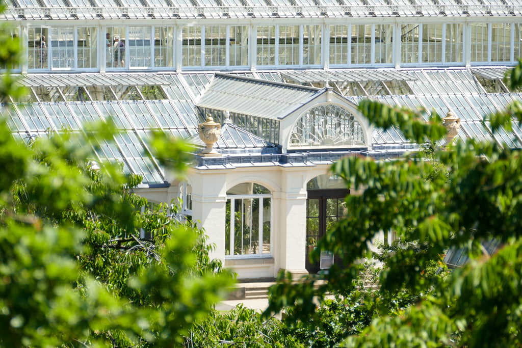 Guida ai Kew Gardens, i giardini botanici di Londra My Scratch Map - Travel Blog Facciata in vetro e ferro battuto della Temperate House