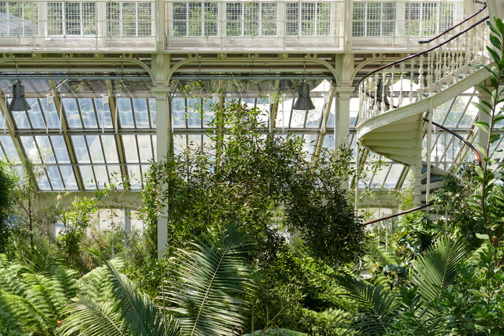 Guida ai Kew Gardens, i giardini botanici di Londra My Scratch Map - Travel Blog Scalinata elicoidale in ferro battuto circondata dalla piante